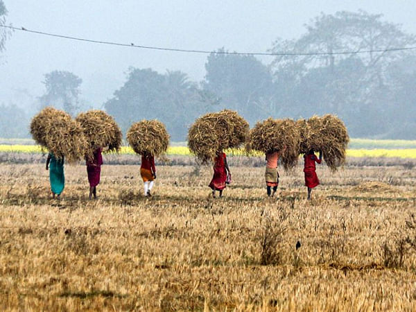 Scaling solar-based technologies can transform farm sector's productivity: Industry experts at India Energy Week 2025