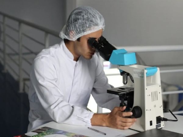 New study explains how antidepressants can protect against infections, sepsis