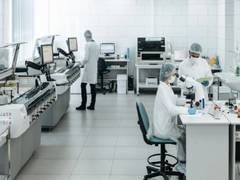 Seals can essentially act as 'smart sensors': Study