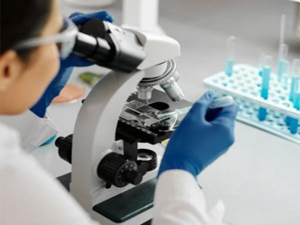 Study finds possible way to heal damaged lungs after premature birth