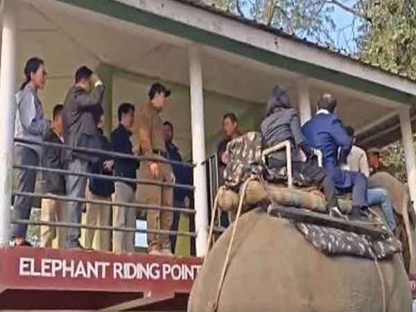 Delegates from South Korea, Taiwan and Philippines enjoy an elephant safari on sidelines of Advantage Assam