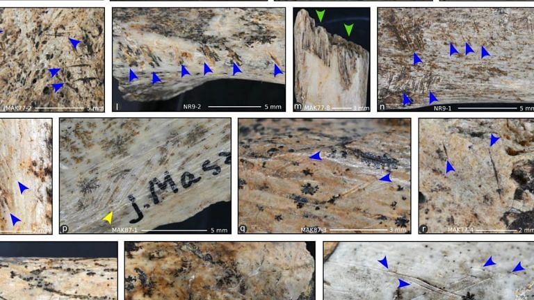 Did a group of ice age Europeans eat human brains? Evidence of cannibalism found in a Poland cave