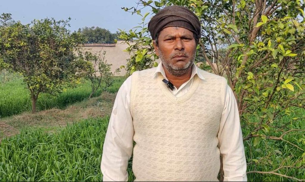 Agra nursery