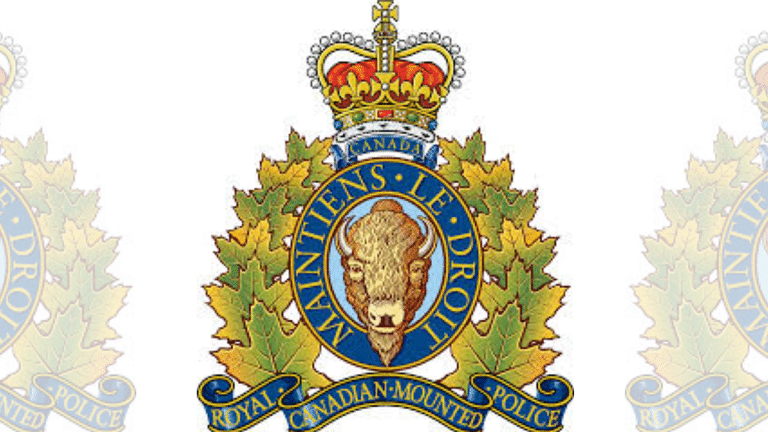1 dead, 15 arrested trying to enter Canada from US amid Trump’s illegal immigration crackdown demand