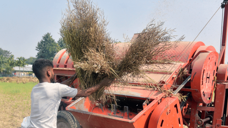 PM scheme for low productivity districts to self-reliance for pulses, what Budget has for agri sector