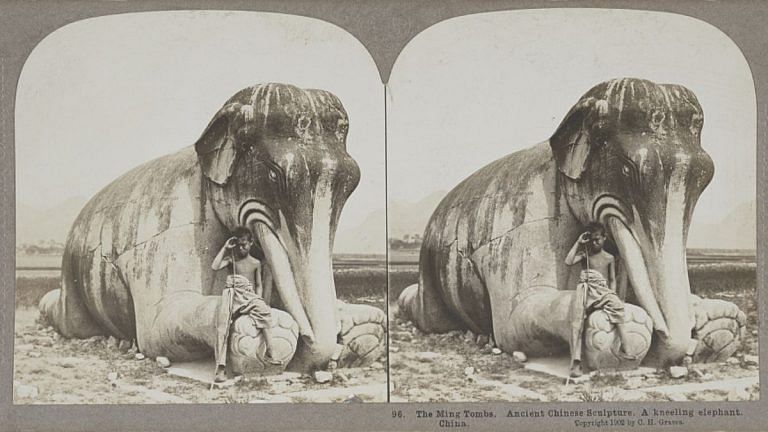 India has elephants, China doesn’t. Credit goes to ancient India’s land ethics