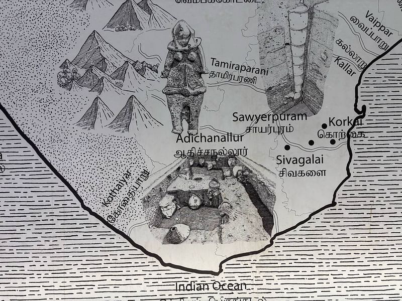 कीलाडी म्यूज़ियम में लगाए गए तमिलनाडु के प्रमुख खुदाई स्थलों का नक्शा | फोटो: प्रभाकर तमिलारासु/दिप्रिंट