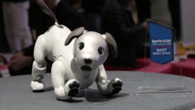 AI pets for lonely people. There’s a safety issue here