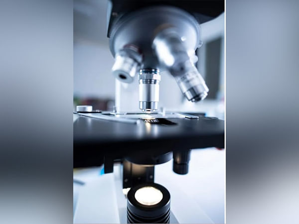 Scientists use AI to better understand nanoparticles: Study 