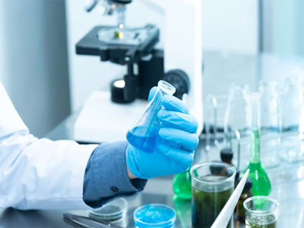 New insights into how cancer evades the immune system: Study 