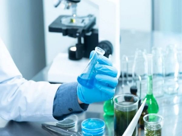 Researchers create gel that can self-heal like human skin: Study 