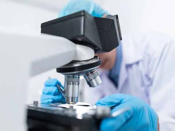 New antibody reduces tumor growth in treatment-resistant breast, ovarian cancers: Study 