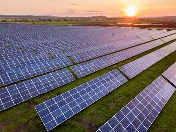 India's imports of solar cells and modules declined by 20% and 57% in first eight months of 2024-25: Report