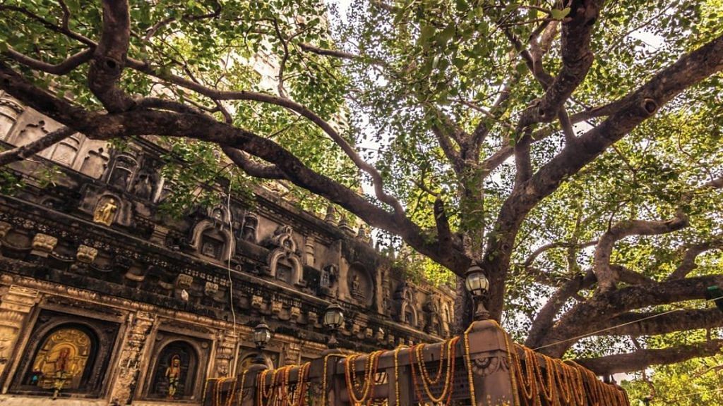 US spy satellites are helping map Bodh Gaya's sacred landscape