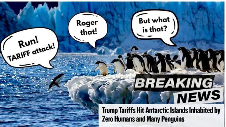 Not just ‘trade war’, Trump tariffs have also fuelled a meme fest—’$112 MAGA hats’ to ‘penguin protest’