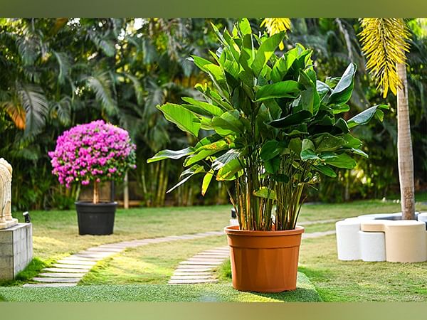Harshdeep Hortico Ltd Secures Major Orders Worth INR 1.39 Crore from L&T and Adani Group for Navi Mumbai International Airport
