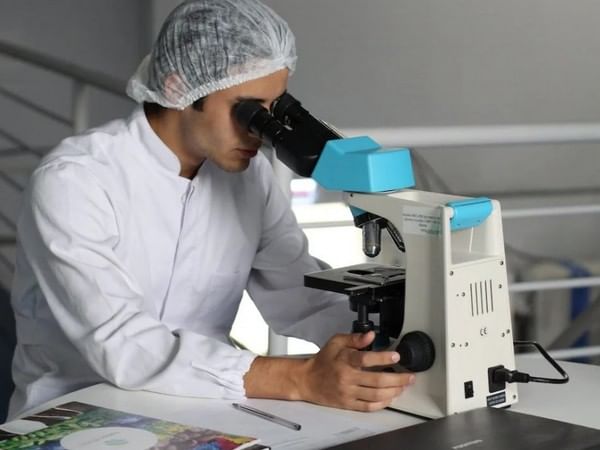 Groundbreaking study reveals how our brain learns