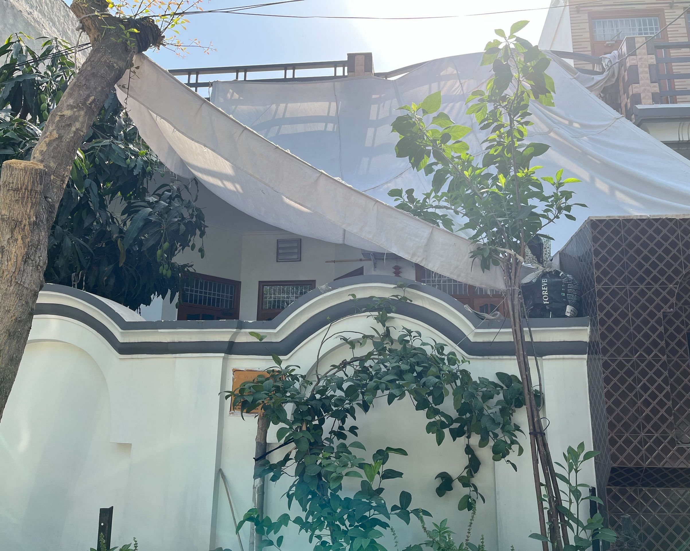 Narwal bungalow
