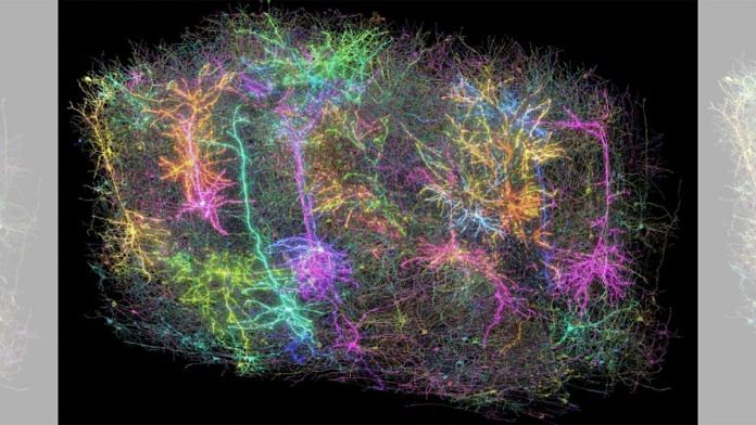 The 3D map has been developed by 150 scientists under the MICrONS Project, using just one cubic millimetre of a mouse brain | Allen Institute for Brain Science