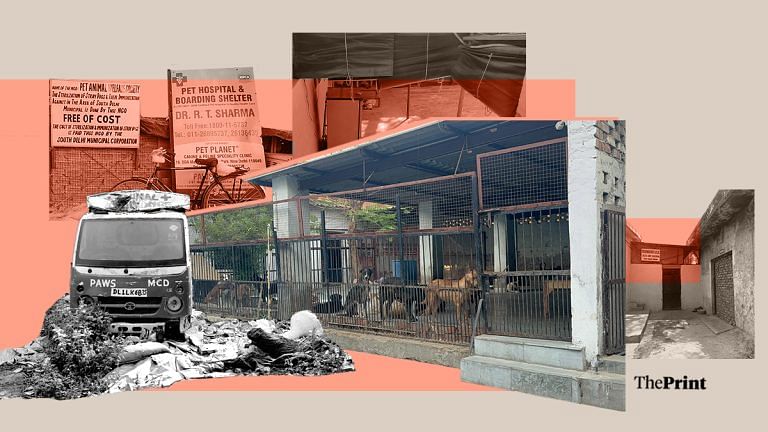 Delhi’s sterilisation centres key to managing human-stray dog conflict. But they’re all blood & filth