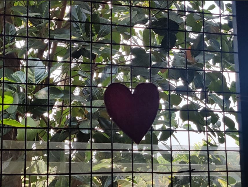 Artwork at de-addiction centre | Nootan Sharma, ThePrint