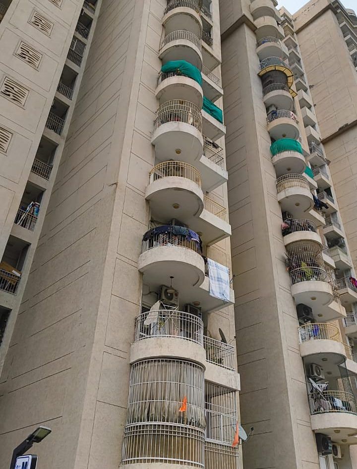 Noida flowerpots