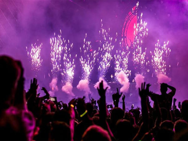 Organised live events sector in India grows 15% in 2024, adds Rs 13 billion in revenue: Report