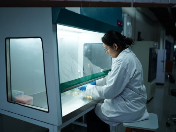 Amity University Opens Admissions for the 2025-26 Session - Apply Now!