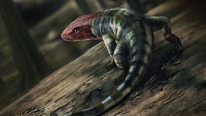 An artist's representation of what the reptile whose fossil was found in Australia might have looked like | Uppsala University