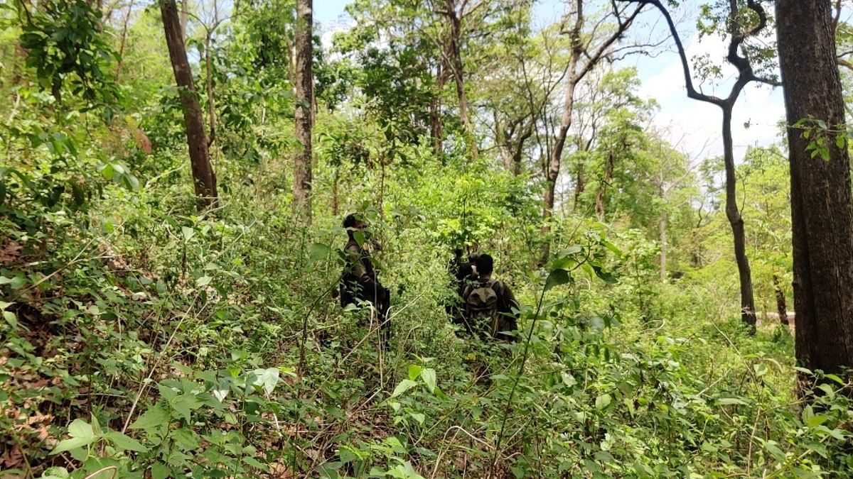 अबूझमाड़ मुठभेड़ के बाद तलाशी अभियान चलाते DRG के जवान | फोटो: स्पेशल अरेंजमेंट