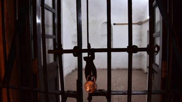 Not exercising your pet can land you in jail! Think tank highlights disproportionality in criminal law