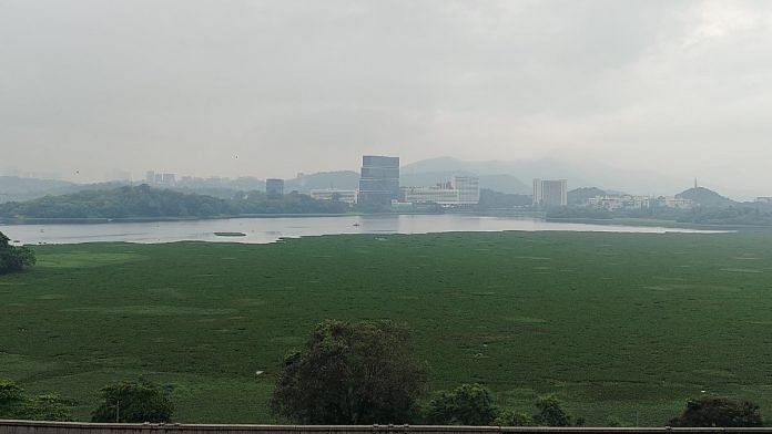 Powai lake covered in Hyacinth. | Save Powai Lake forum