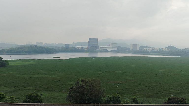 Big win for citizens’ campaign as BMC set to finally clean up Powai lake after years of govt inaction