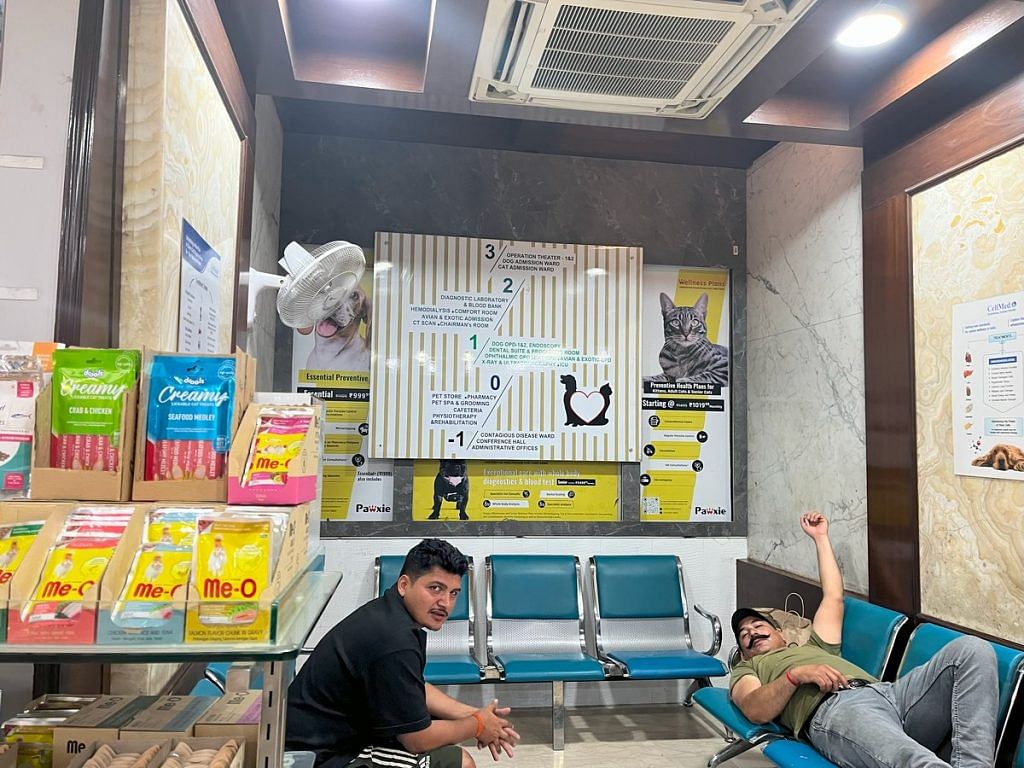 verts in India