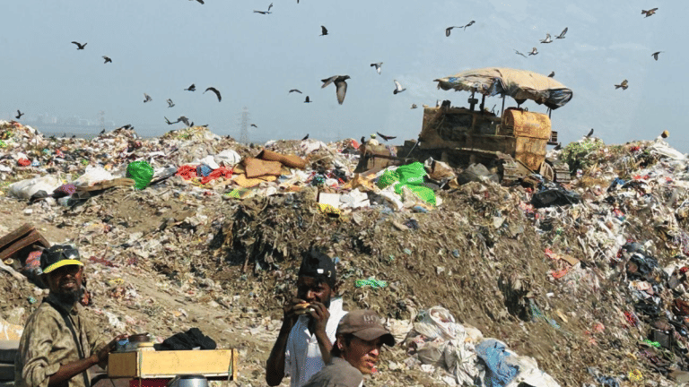 With a ‘13-storey’ mountain of waste, why Deonar dumping ground closure is a challenging task