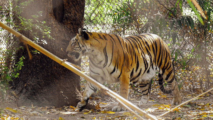 Representational image. | Photo: ANI