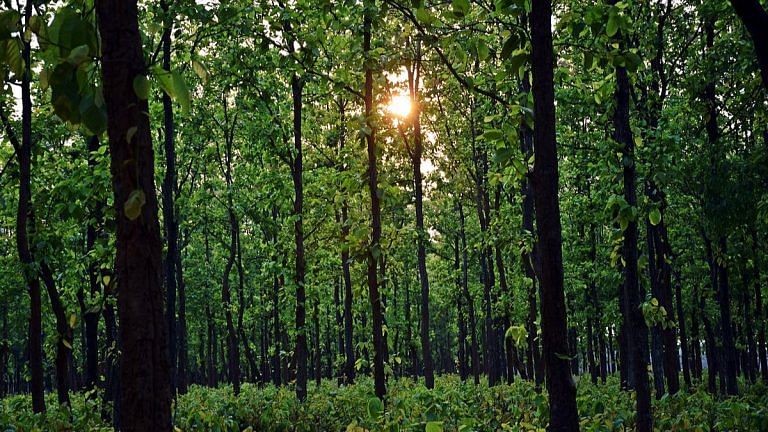 Top Maoist leaders Pappu Lohara & Prabhat Ganjhu killed in Jharkhand, days after Basavaraju encounter