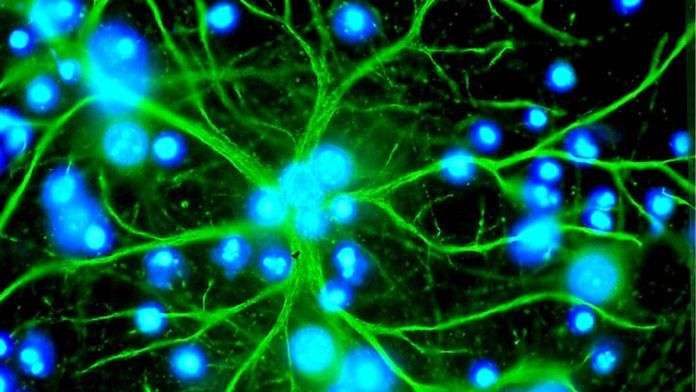 Representational image | Commons