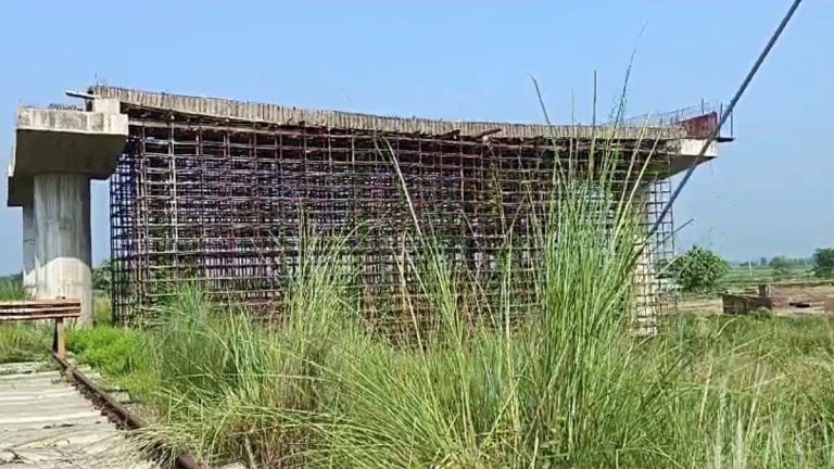 SC bars govt from giving post-facto environmental clearance citing citizens’ rights, conservation