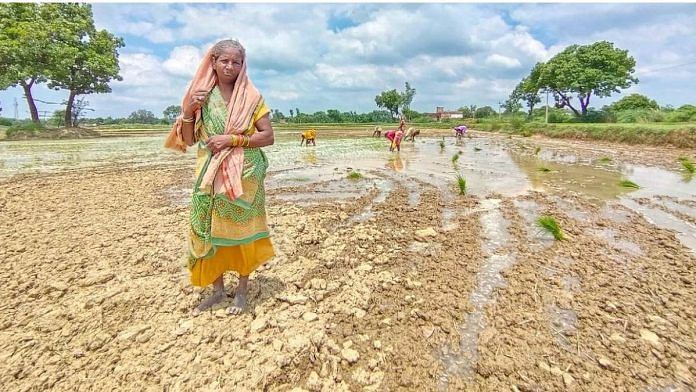 The increase in female participation in agricultural work is an alarming sign, as it indicates economic distress
