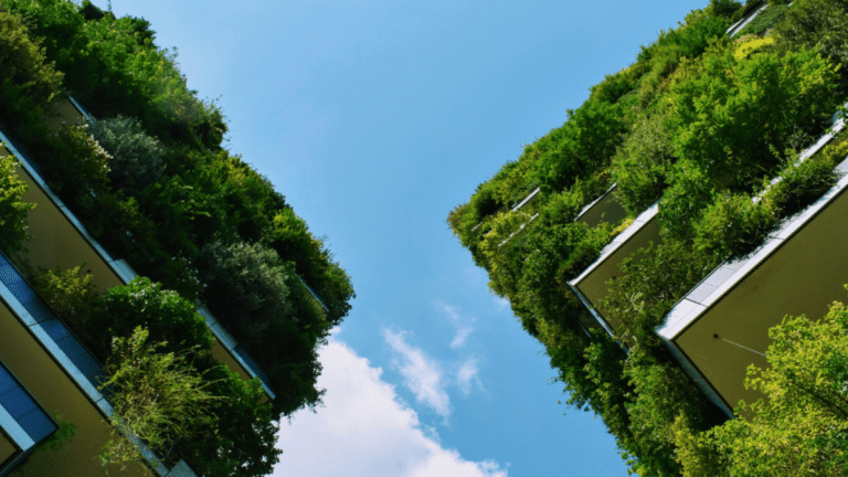 How do you decarbonise urban India? Start with how you plan