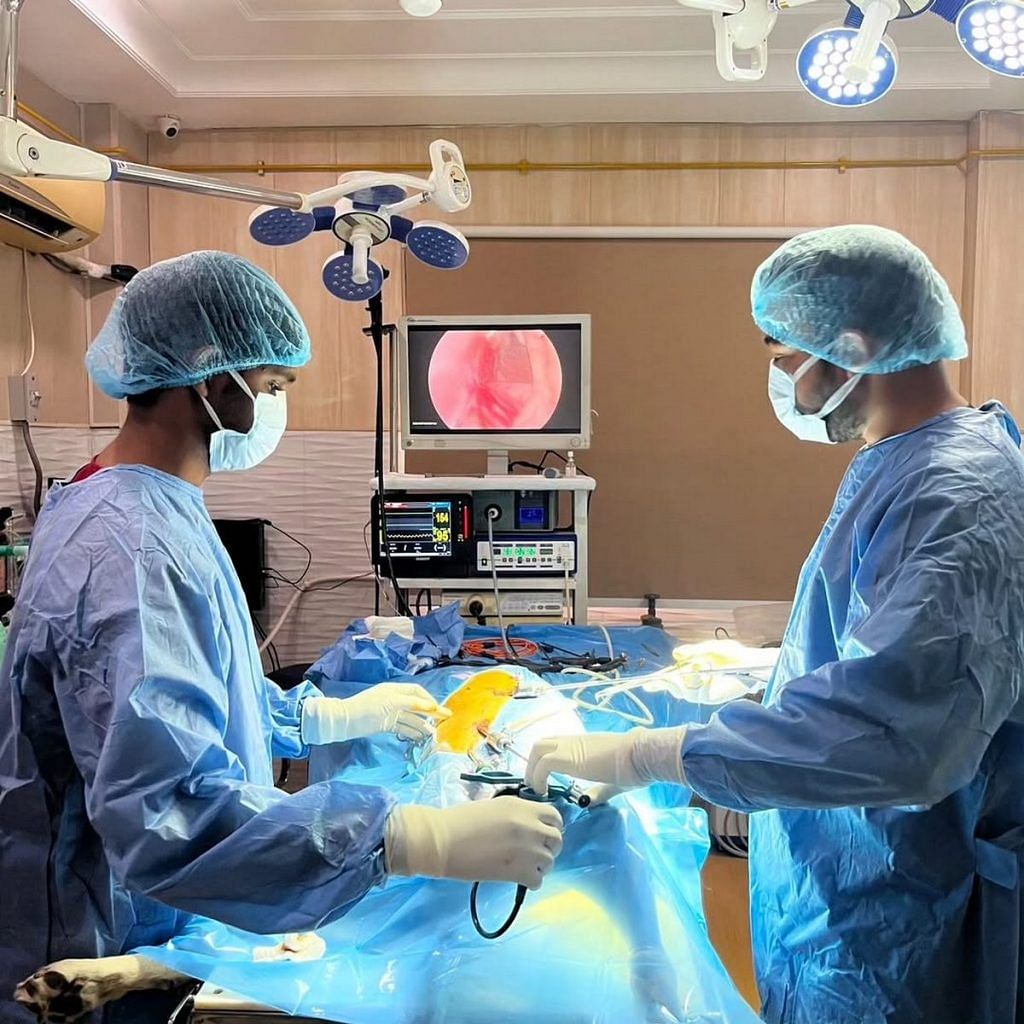 vet surgery