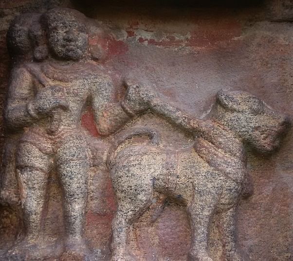 A Chola guard dog resembling a mastiff, possibly an ancestor of the native Alangu breed | Photo: Wikimedia Commons