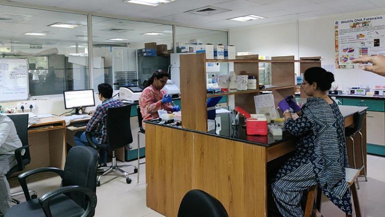Inside CCMB Hyderabad—where scientists turn elephant blood, tiger bones into criminal evidence