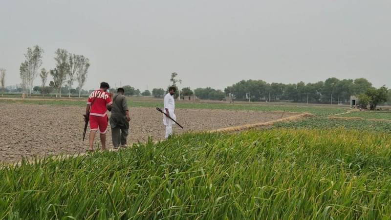 Chand Singh influencer