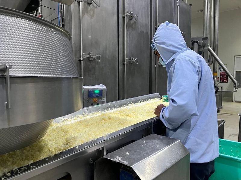 Frozen potato products being made at a processing factory