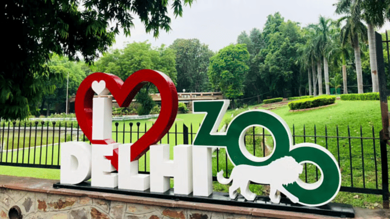 Delhi Zoo to sign ‘knowledge sharing’ MoU with Vantara, but no management transfer, say officials