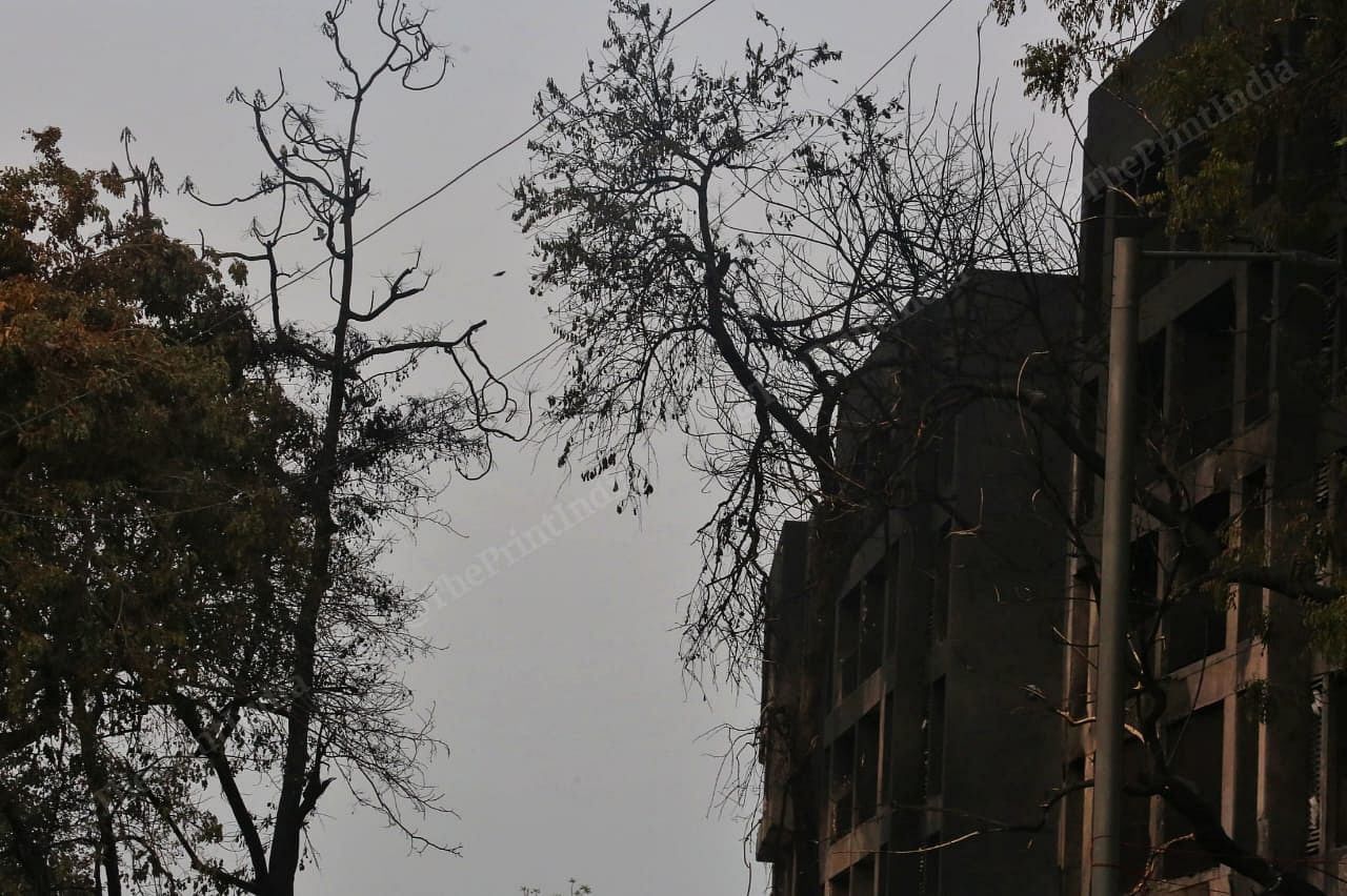 विमान दुर्घटना के कारण लगी आग में जले हुए पेड़ और इमारतें | फोटो: प्रवीण जैन/दिप्रिंट