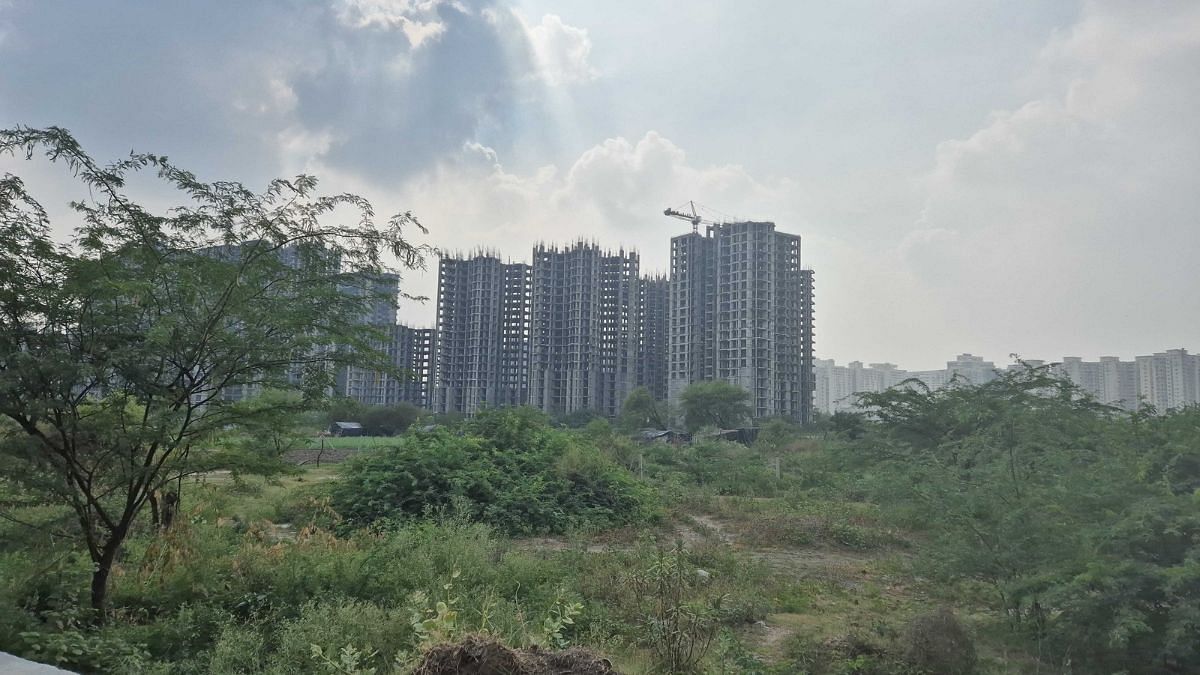 The underdeveloped land that was supposed to be part of Noida's Sports City dream | Shubhangi Misra, ThePrint
