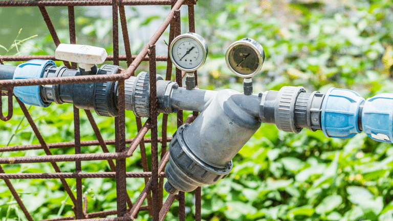 Middle East and Asia are leading food-water innovation—a blueprint for the world